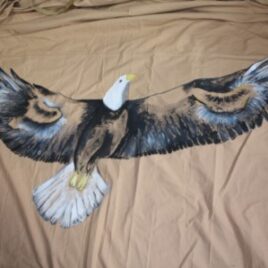 Eagle – Ørn  malet TIPI Autentisk